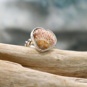 Fine Silver Braided Ring with SS Bezel Set Heart Shaped Cockleshell size 8