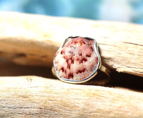 Bezel Set Ring, Natural Scallop Shell, Dainty Sterling Silver, 15mm