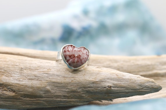 Handmade Sterling Silver, Lightly Hammered, Ring Band, Bezel set Calico Scolloped Shell, Heart Shaped Shell, size 8