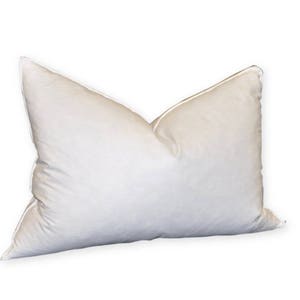 May include: A white down pillow with a white piping around the edges. The pillow is fluffed and ready for sleeping.