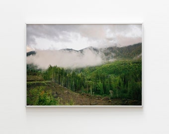 Digital Download | Fog in the Forest and Mountains | Photo Print | Wall Art | Canvas Art | Home Decor | Photography | Nature | Landscape