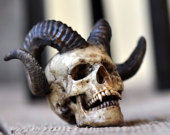 DECORATIVE Realistic Skull, Horned Vampire Human Skull, Miniature Skull Art, Gothic Style Accessories