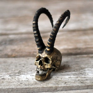 High Detailed Realistic Capricorn Horned Vampire Goat Horned Human Skull, Miniature Skull Art, Gothic Style Decorative Art Object