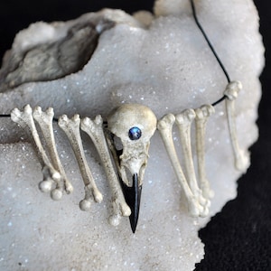 Realistic Raven Skull Choker Necklace, Crow Skull Bones Necklace, Rainbow Moonstone Necklace, Resin Pendant, Gothic Style Necklace,