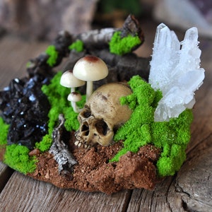 Realistic Skull and Mushrooms Art Object, Realistic Mossy and Rocks Home Decoration Object, Miniature Sculptures Resin Art, Quartz Crystal