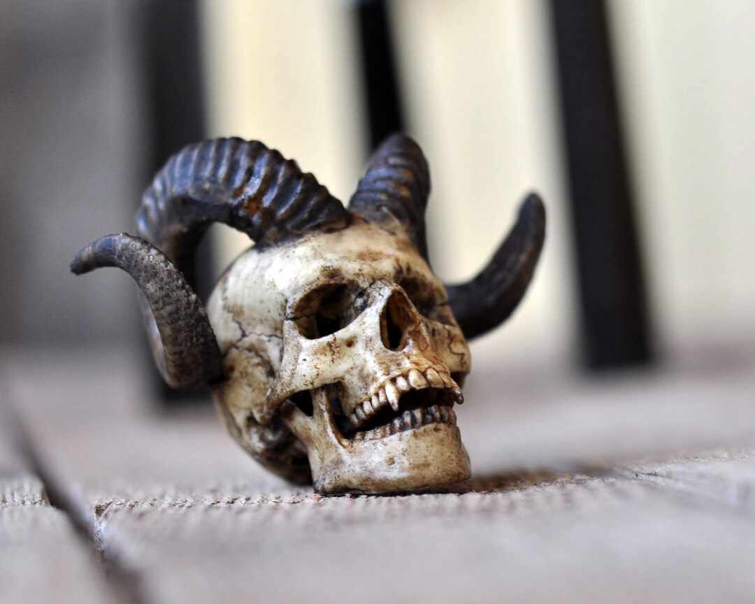 【BIGサイズ/スカル】商品番号230 BIGサイズ/スカル】商品番号230