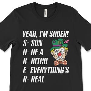 Funny Sober Clown T-Shirt, Recovery Gift - Son Of A Bitch Everything's Real AA NA Tee