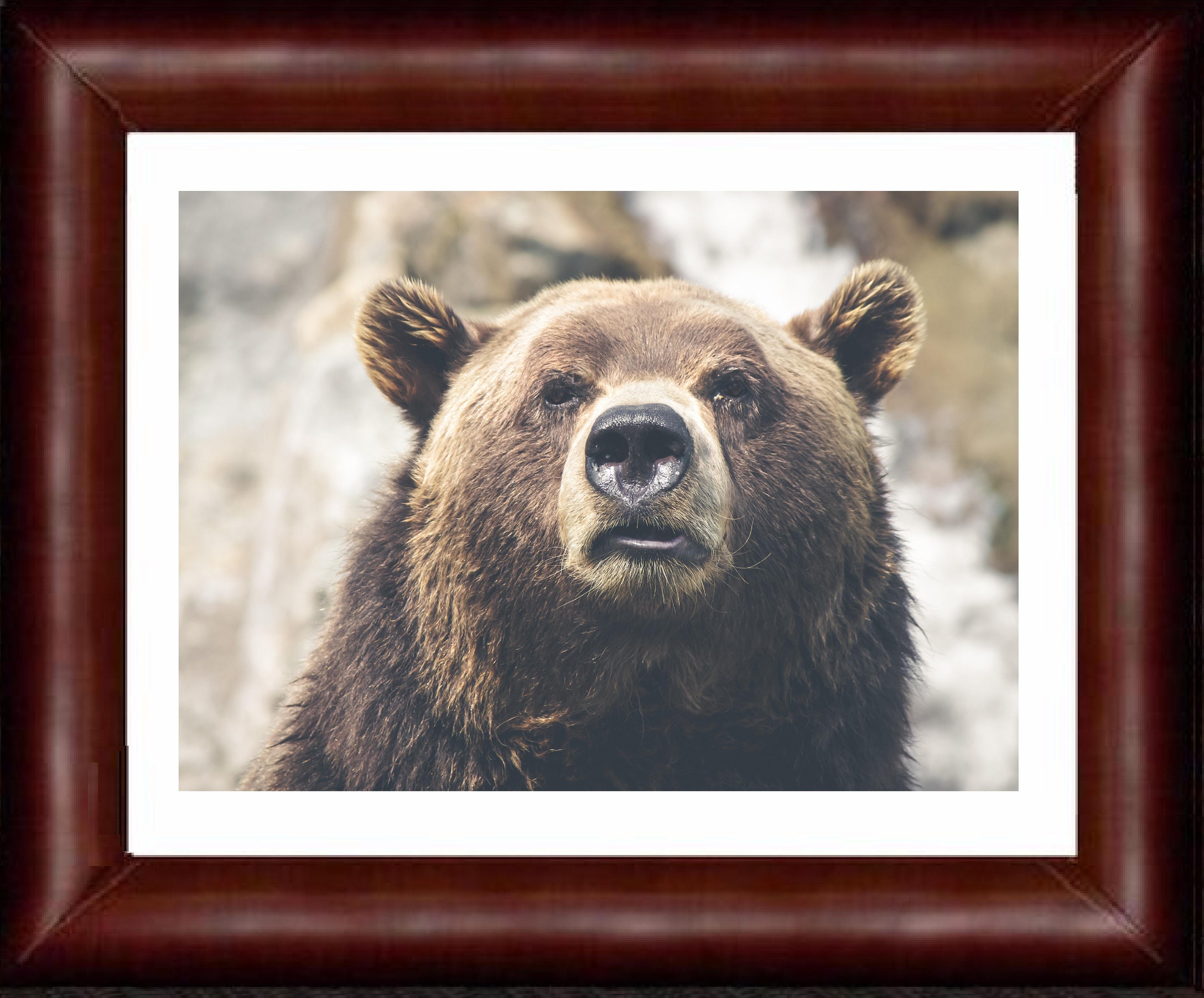 Brown Bear Wall Art Digital Print Poster Photo Photograph Etsy