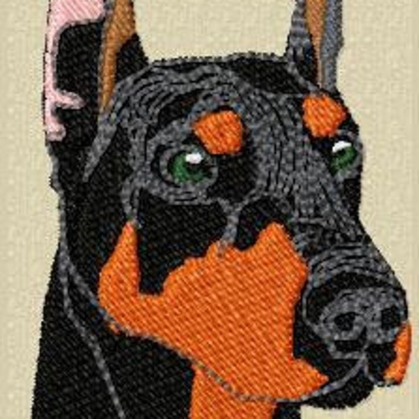 Doberman Pincher canine embroidery machine design instant download