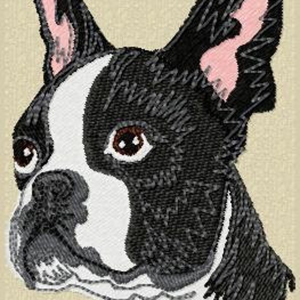 Boston Terrier embroidery machine design bull dog canine