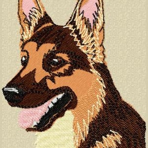 Könnte beinhalten: Ein brauner und schwarzer Deutscher Schäferhund mit herausgestreckter rosa Zunge. Der Hund schaut nach rechts.