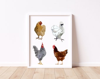 May include: A digital illustration of four different chickens. The chickens are a brown and white rooster, a brown hen, a white hen, and a black and white rooster. The chickens are all facing forward and are standing on a white background.