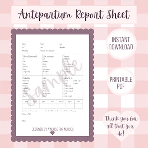 May include: An Antepartum Report Sheet printable PDF document with a pink and white gingham background. The form includes sections for maternal and fetal assessment, diagnosis, medications, labs, and orders, with the text Designed by a nurse for nurses.