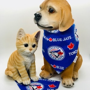 toronto blue jays pet jersey