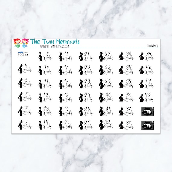 Pregnancy Planner Stickers | Etsy