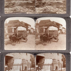 Philippine Islands Lot of (3), Drying and Carting Hemp, Weaving Pina Cloth. Stereoview Photos