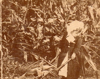 Little Girl with a Wheelbarrow in Corn Field. Stereoview Photo