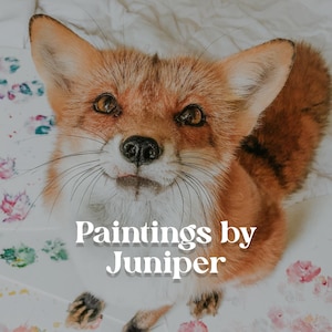 Fox Paw Print Paintings By Juniper