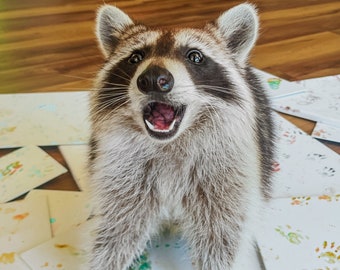 Raccoon Finger Paintings