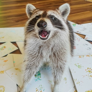 Raccoon Finger Paintings image 1