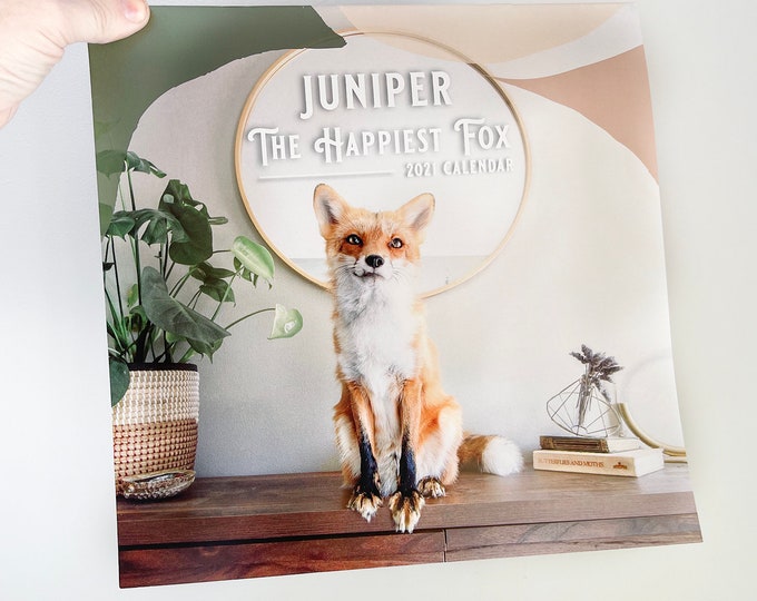 2021 Calendar Juniper the Happiest Fox Etsy