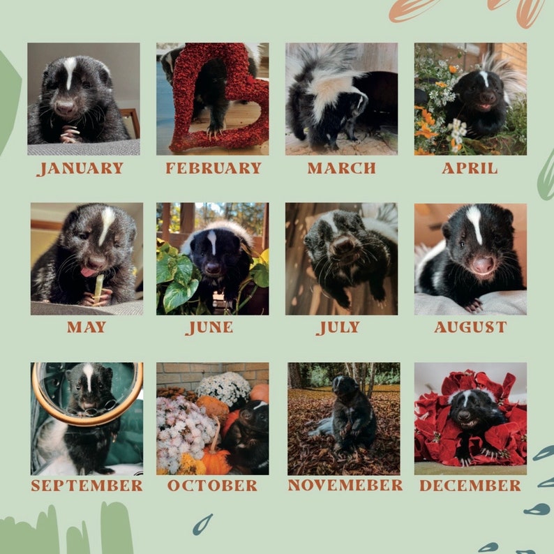 The Happiest 2024 Calendars Jam Jar The Skunk