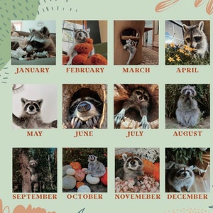 The Happiest 2024 Calendars Frank & Newt Raccoon