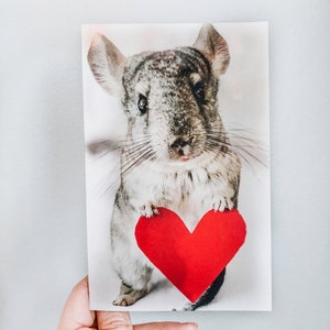 Cartão de felicitações Herbal Chinchilla