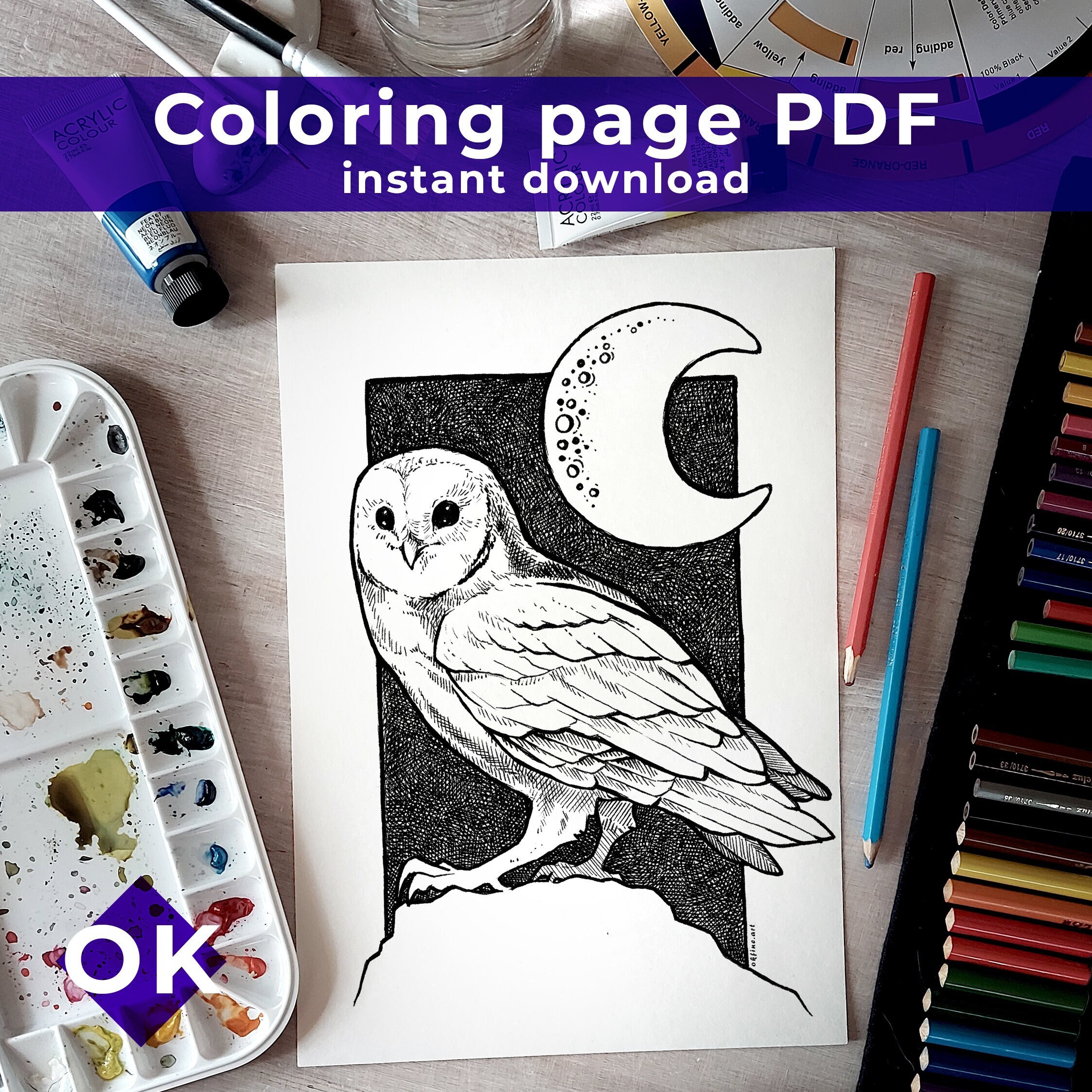 Barn Owl Colouring Page, Printable Colouring Page, Coloring Page A3, A4 ...