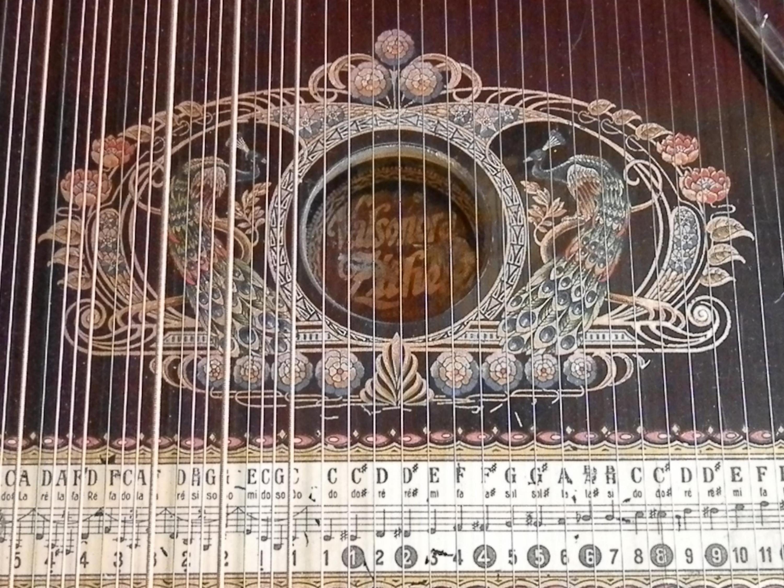 gallery photo