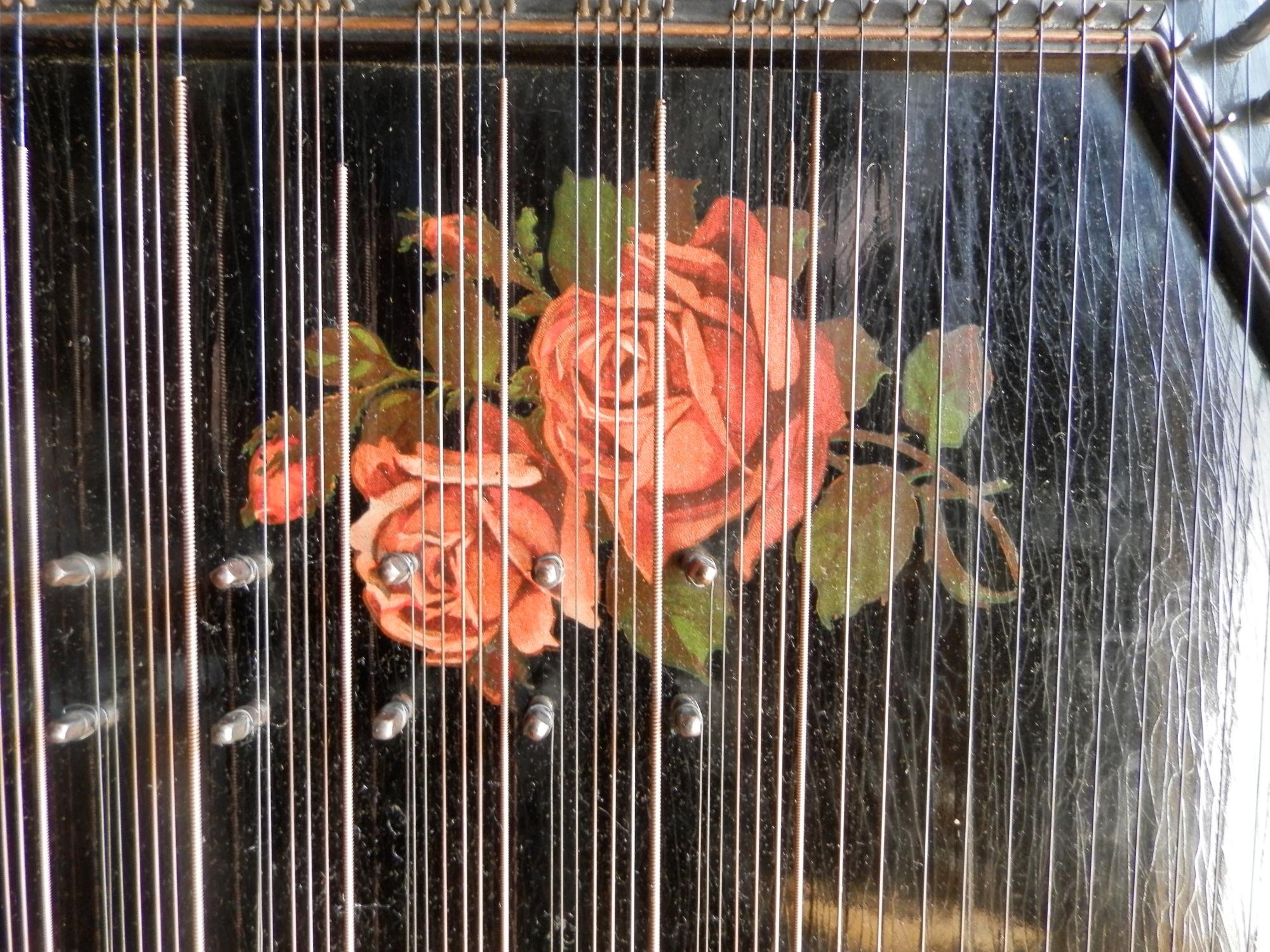 Concert Guitar Zither 67 strings.