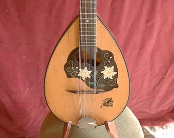 Mandolin by Framus