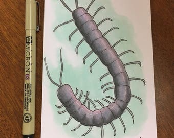 Millipede - Original 4 x 6 Ink and Marker Insect Art