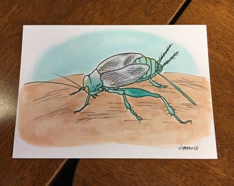Little Tick - 3.5" x 5" Original Ink + Copic Insect Illustration