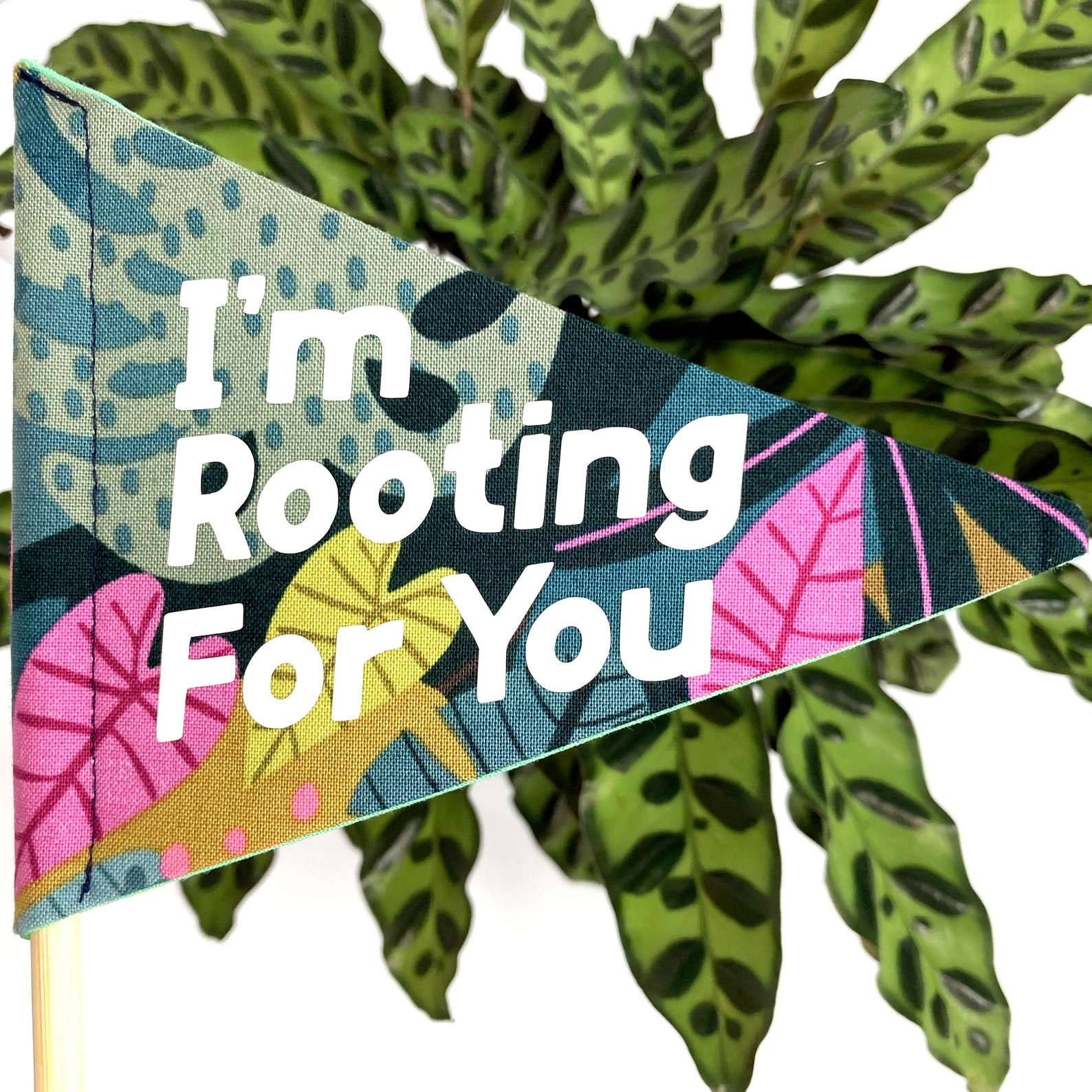 Plant gift for her Im rooting for you encouragement for Etsy