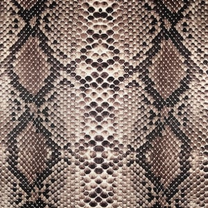 Brown Snake Fabric | Jersey 2 Way Stretch Scuba Fabric | Animal Print | Sold Per Metre | FS062_4