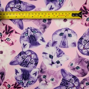 Pink Cats Fabric | Novelty Print Scuba Jersey Spandex Stretch Fabric | Sold Per Metre | FS205