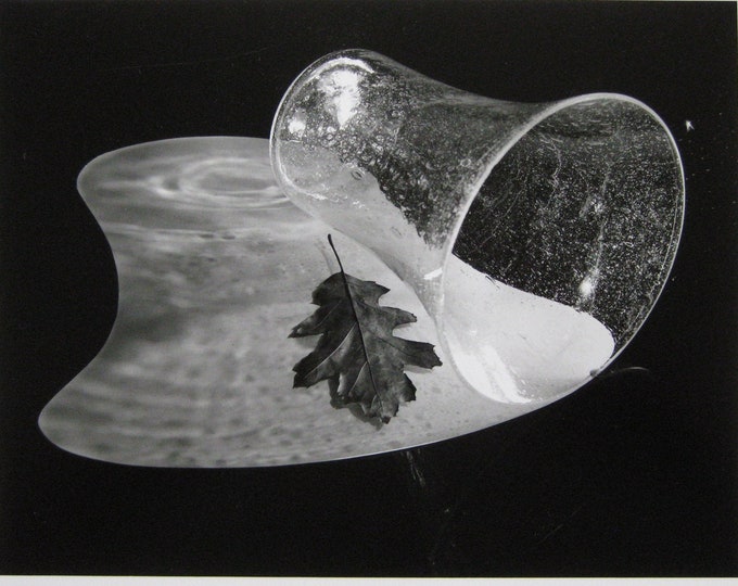 Fritz Brill - "Vase with negative shade, Hofgelsmar 1949" - Gelatin Silver Print - 2004