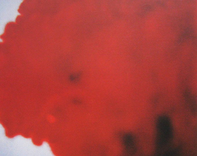 Cy Twombly  - "Flowers II " - Offset lithograph - 1998/2009
