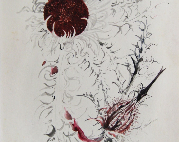 Luise Horlbogen - "Peacock butterflies on Golddistel" - Aquarelle/Watercolor, 1957