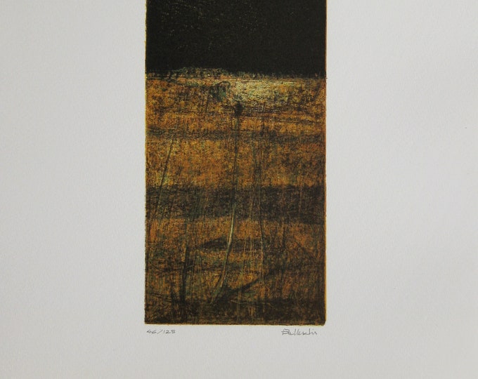 Pelleschi - "Soil" - Hand Signed Colour lithograph (S/N - 46/125)