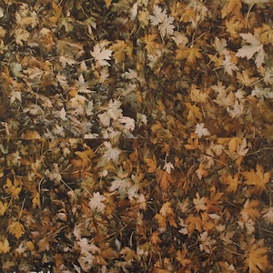Jan Dibbets - &quot;Leo Castelli NY&quot; - Offset Lithograph exhibition Poster, 1975
