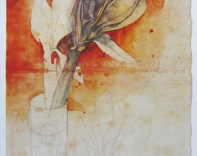 Bruno Bruni - "Amaryllis"- Large Hand Signed Colour Offset Lithograph