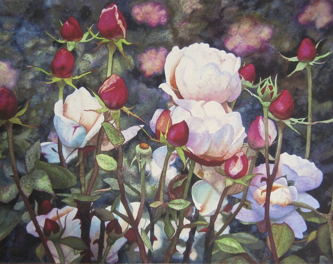Elyse Cohen - "Peony Rose" - Large Hand Signed Colour Lithograph - 1989 (S/N - 6/250)