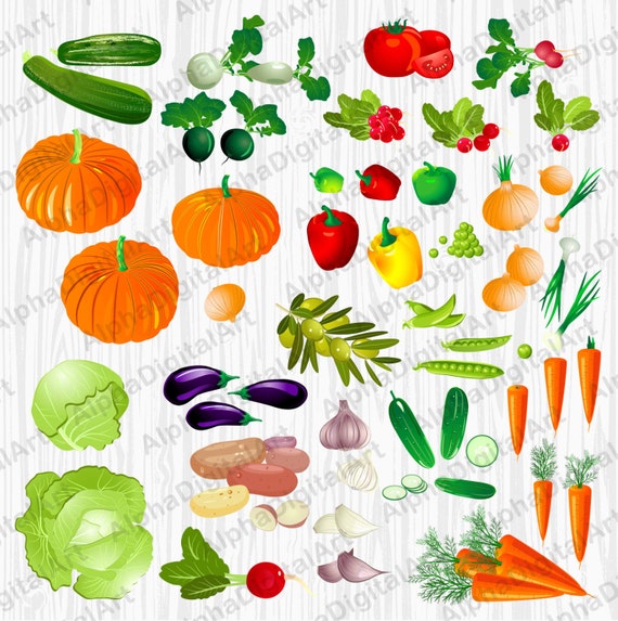 55 Vegetables Clipart Tomato Clipart Food Clipart Set Onion Etsy