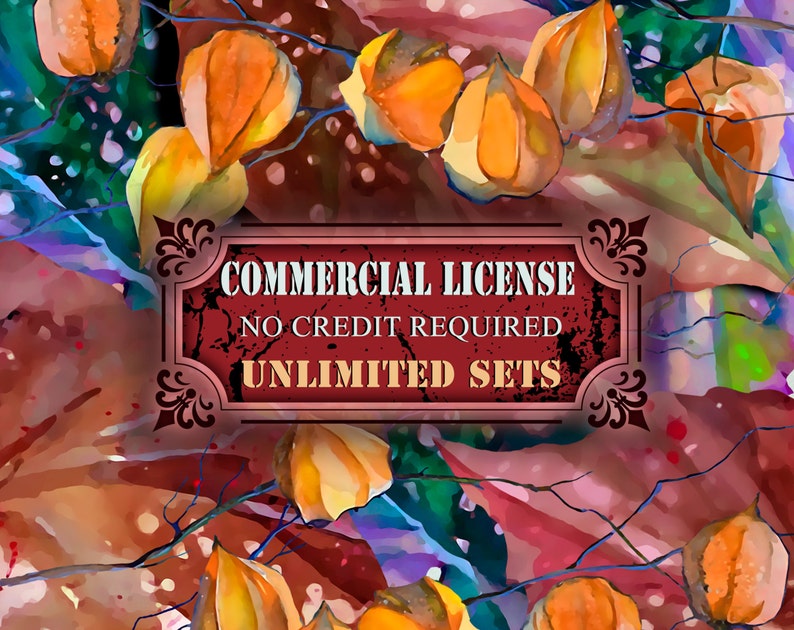 Unlimited present and future sets from IstarArt team Whole Shop Commercial License NO Credit required