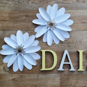 Large Wall Flowers - Daisy Style