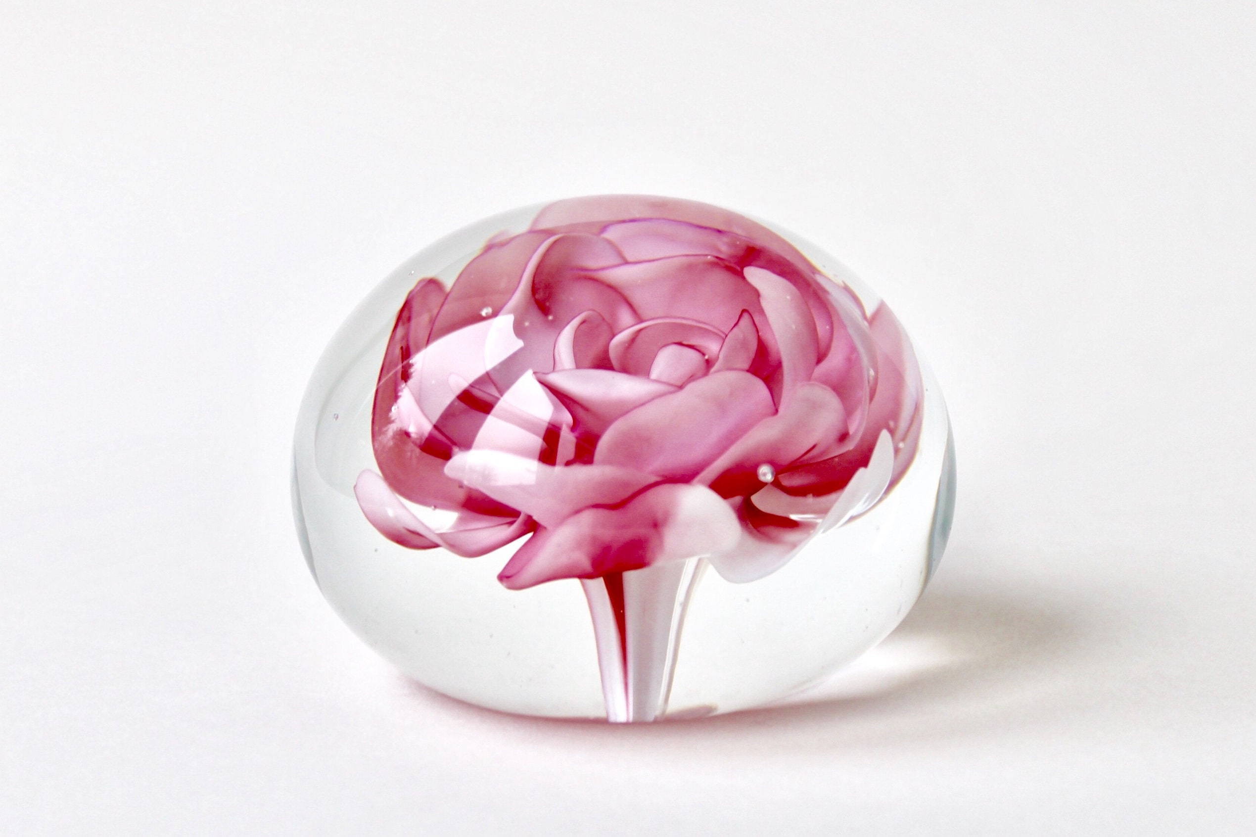 Vintage pink rose flower paperweight. Botanical paperweight. Etsy