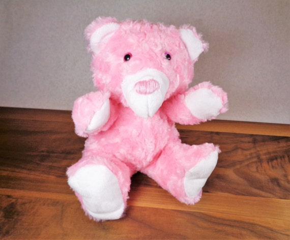 pink princess teddy bear