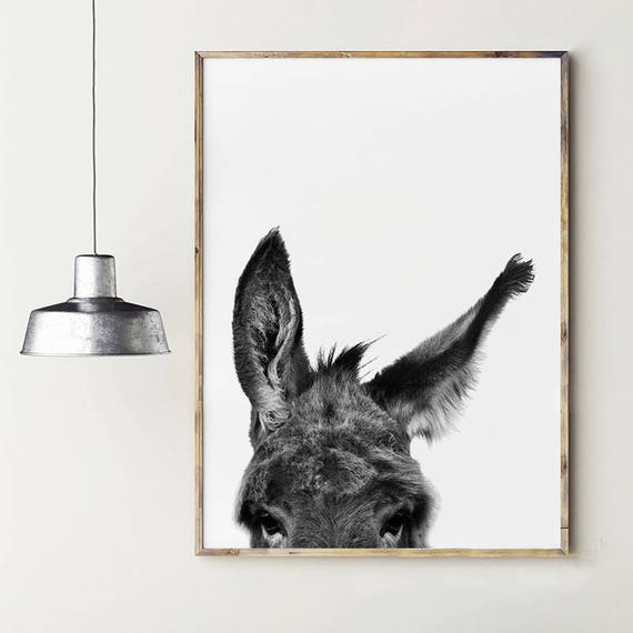 donkey poster donkey s